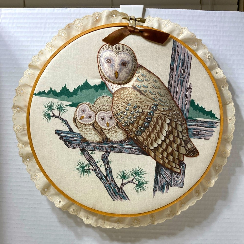 Vintage Owl Family Needlework Puff Artwork Round Fabric MCM Lace Trim Nature